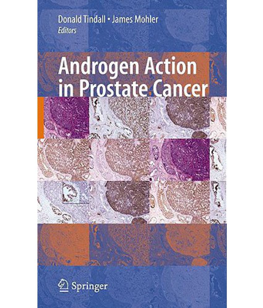 Androgen Action in Prostate Cancer: Buy Androgen Action in Prostate ...