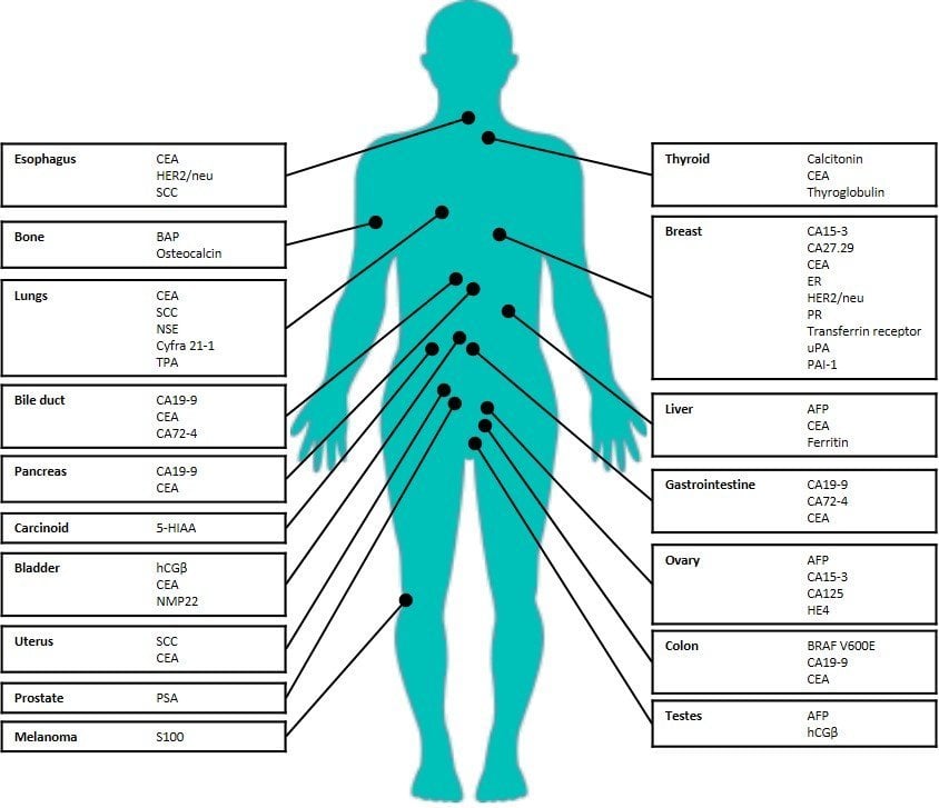 Cancer Tumor Markers