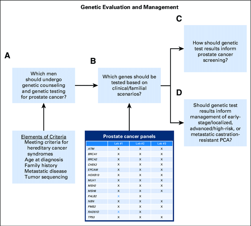 Framework for genetic evaluation of inherited prostate ...
