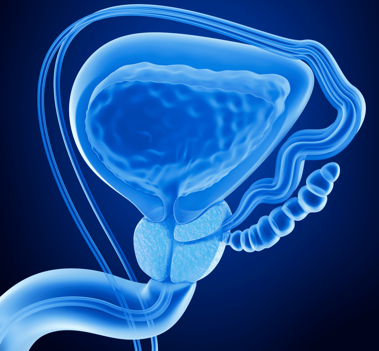 Hereditary Prostate Cancer: What You Need To Know