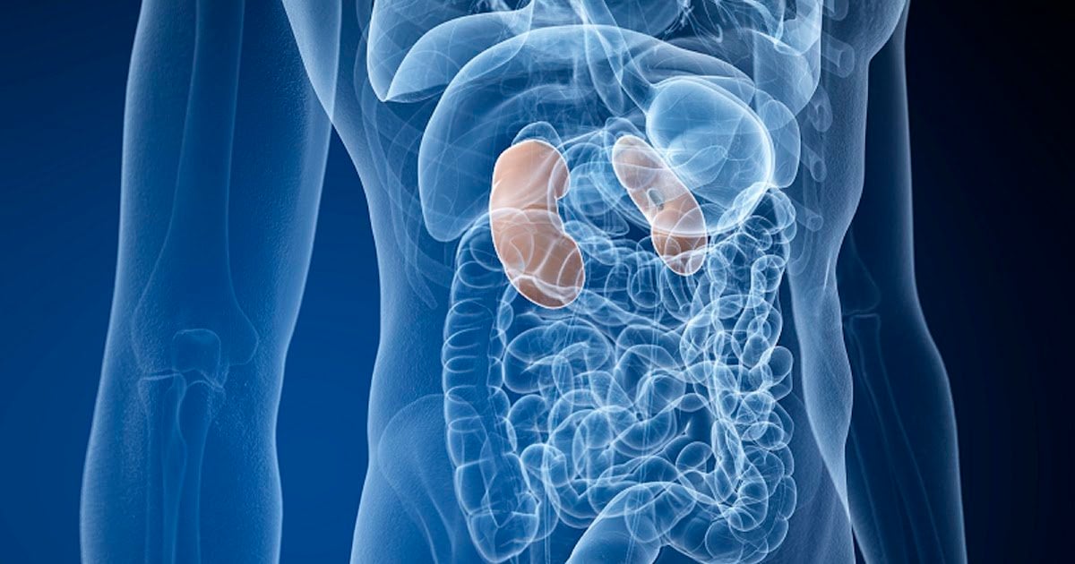Kidney Disease Linked to Worse Prostate Cancer Surgery ...