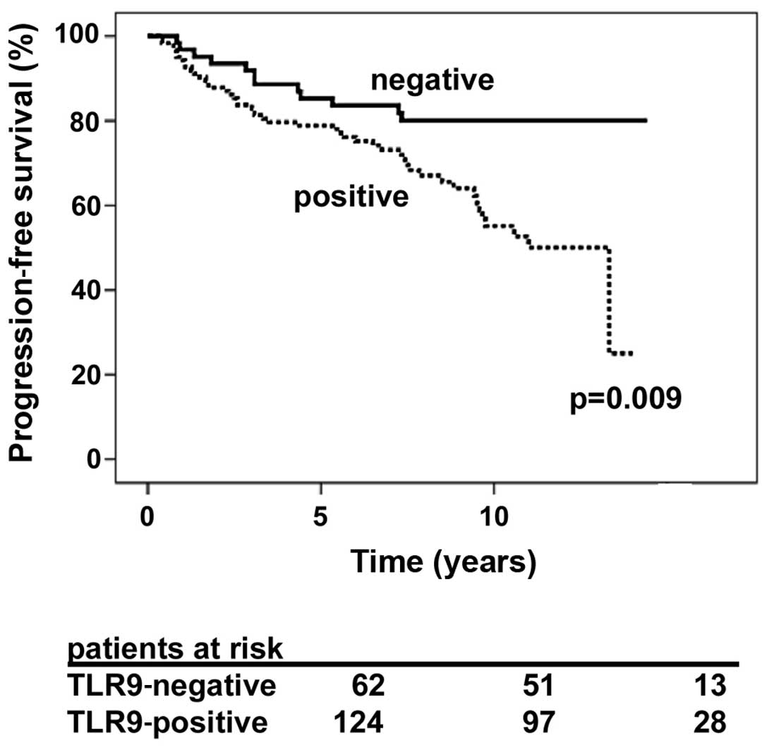 T3b Prostate Cancer Survival Rates
